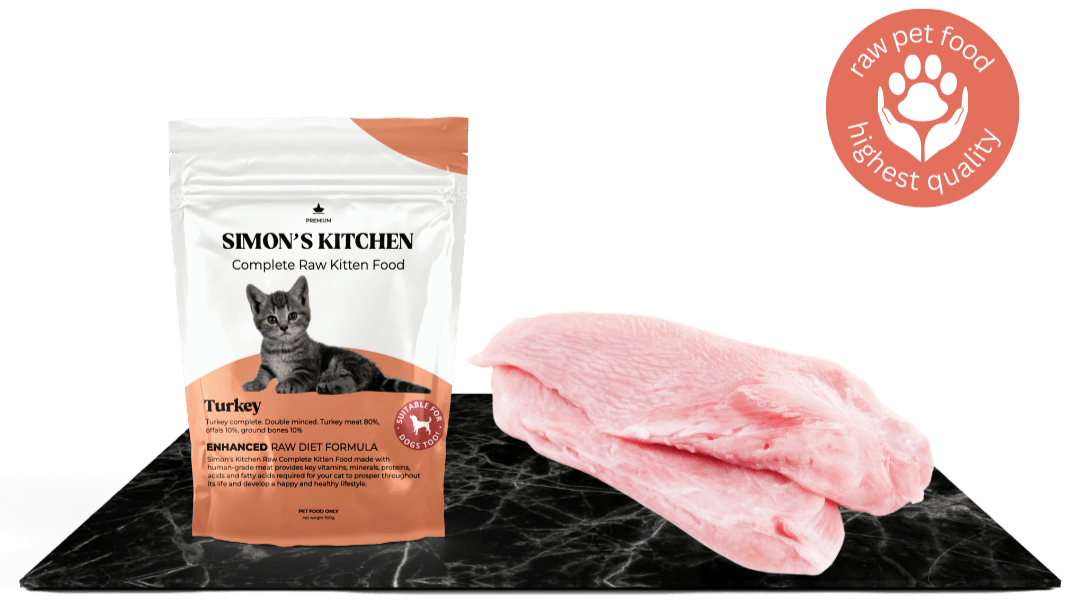 raw food turky for kittens
